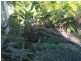 56 Alexander Street, Macleay Island QLD 4184