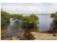 91 Coondooroopa Drive, Macleay Island QLD 4184