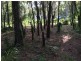 30 Arthur Street, Macleay Island QLD 4184