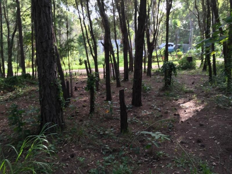 30 Arthur Street, Macleay Island QLD 4184