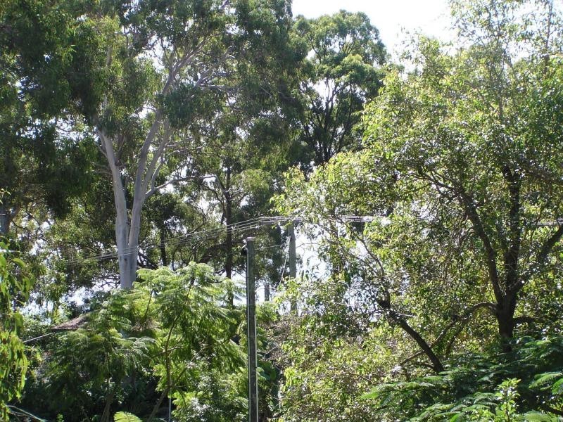 60 Perulpa drive, Lamb Island QLD 4184