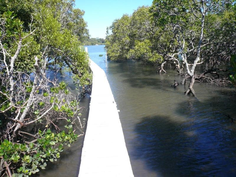 4 Cotton Tree Avenue, Macleay Island QLD 4184