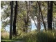 11 Pindarri Street, Lamb Island QLD 4184