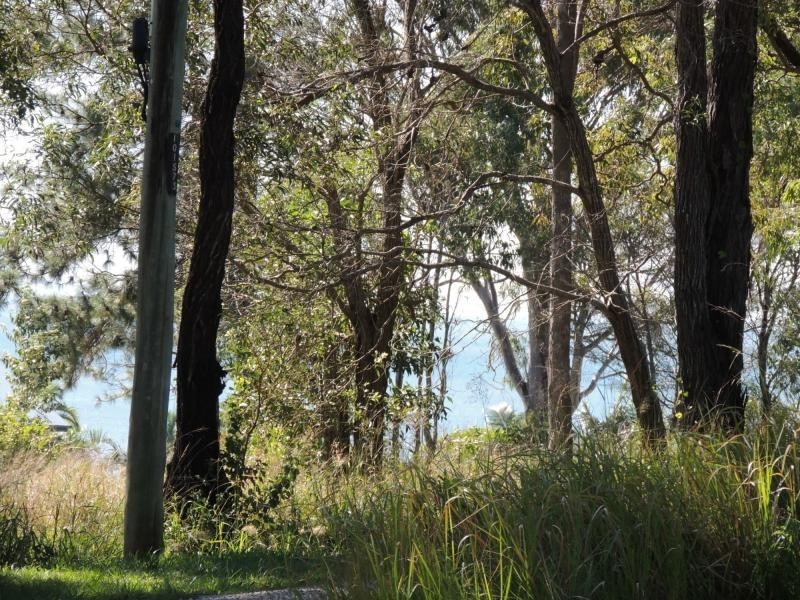 11 Pindarri Street, Lamb Island QLD 4184