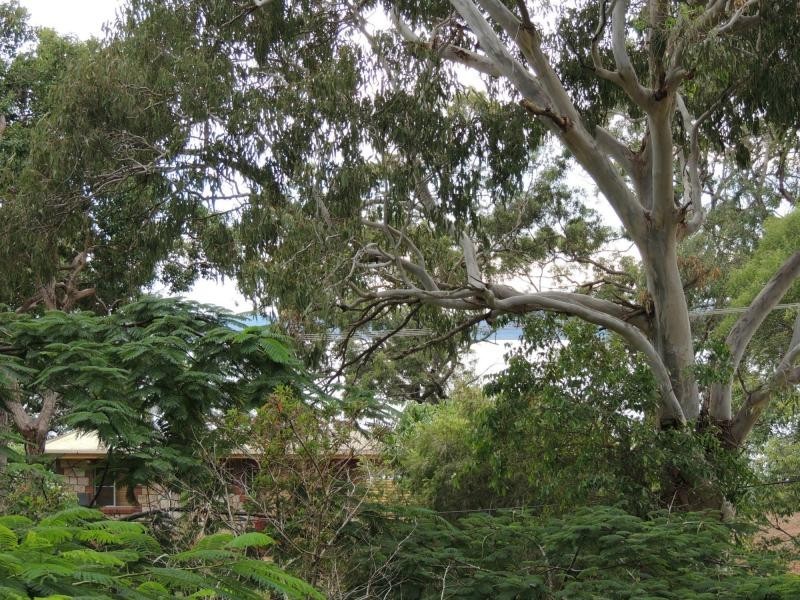 60 Perulpa Drive, Lamb Island QLD 4184
