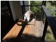 53 Crest Haven, Lamb Island QLD 4184