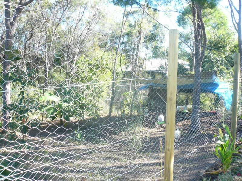 52 Eastbourne Terrace, Macleay Island QLD 4184