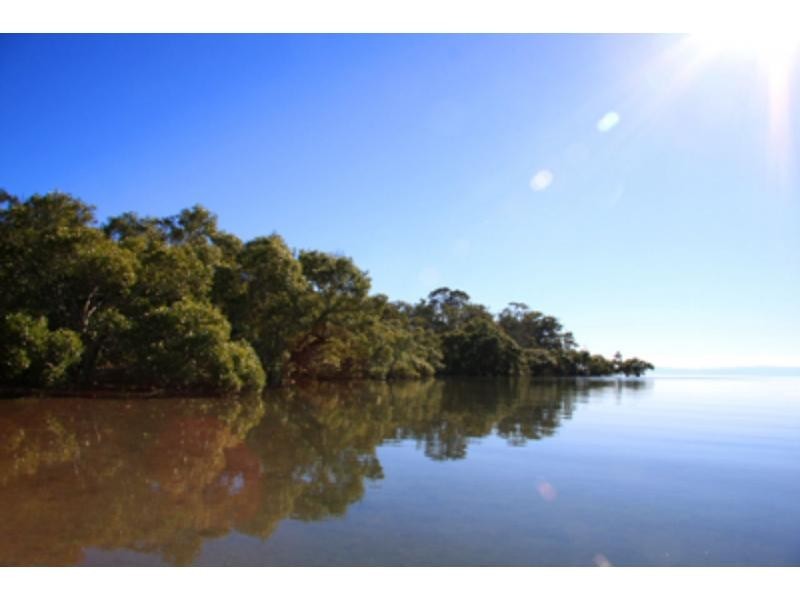 35 Jan Street, Macleay Island QLD 4184
