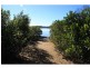 35 Jan Street, Macleay Island QLD 4184