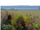 3 Timothy Street, Macleay Island QLD 4184