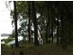 62 Beelong Street, Macleay Island QLD 4184