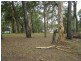 62 Beelong Street, Macleay Island QLD 4184