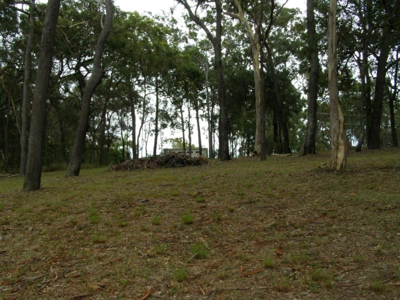 62 Beelong Street, Macleay Island QLD 4184
