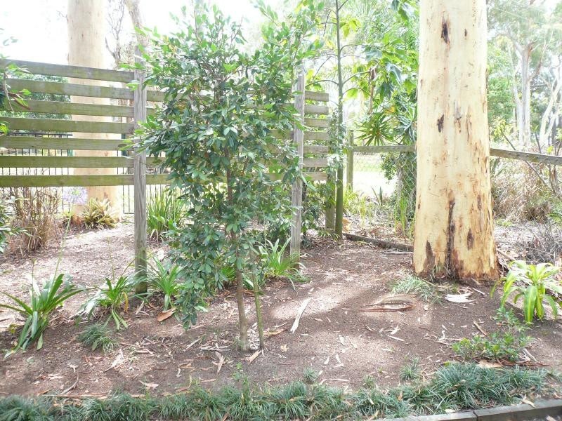 20 Tingara Street, Macleay Island QLD 4184