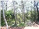 6 Eagle Street, Macleay Island QLD 4184
