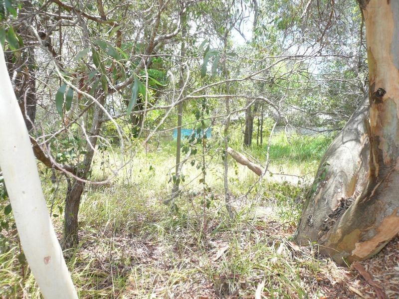 91 High Central Road, Macleay Island QLD 4184