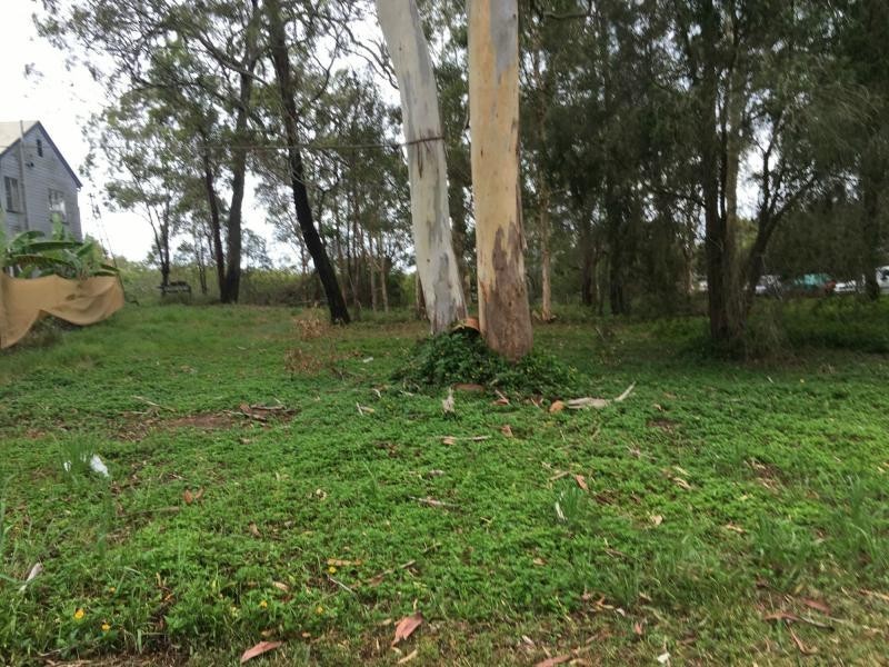 37 Perulpa Drive, Lamb Island QLD 4184