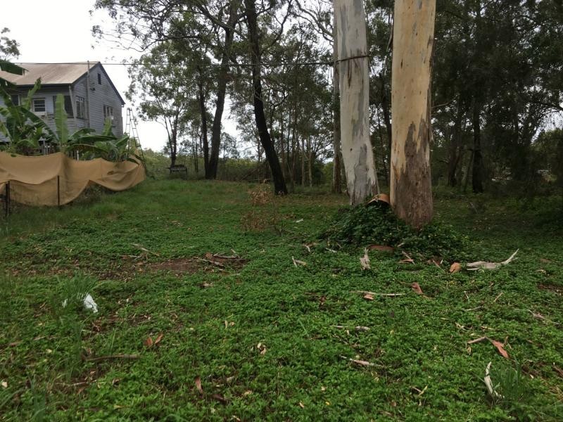 37 Perulpa Drive, Lamb Island QLD 4184