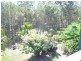 11 Jane Street, Macleay Island QLD 4184