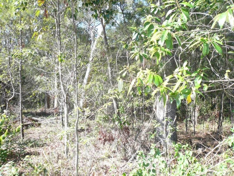 7 Oomool Street, Macleay Island QLD 4184