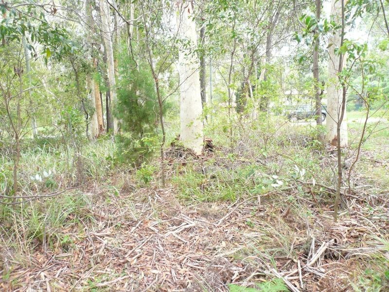 6 Warama Street, Macleay Island QLD 4184