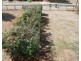 14 Betty Street, Macleay Island QLD 4184