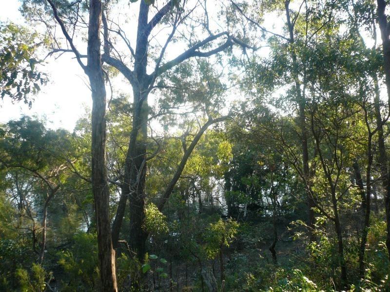 36 Calm Waters Crescent, Macleay Island QLD 4184