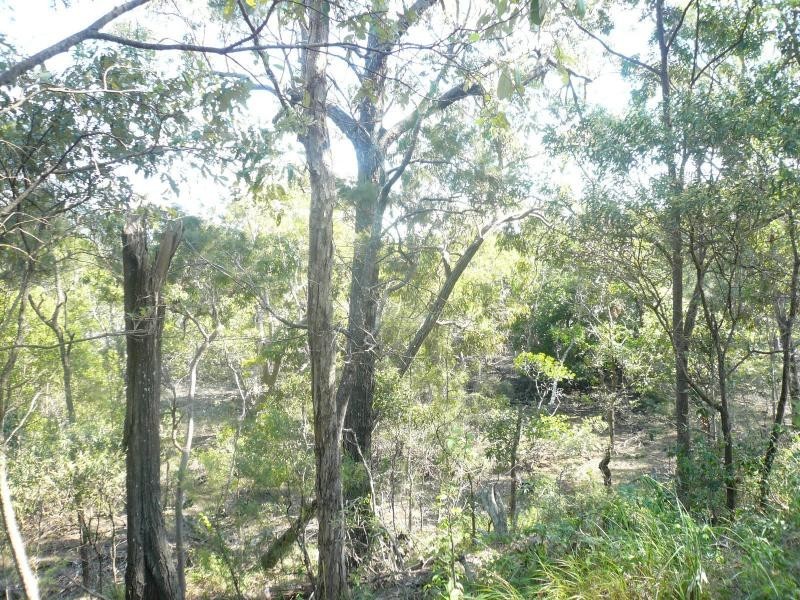 36 Calm Waters Crescent, Macleay Island QLD 4184