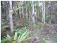 7 Donald Street, Macleay Island QLD 4184