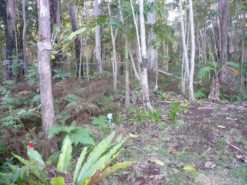 7 Donald Street, Macleay Island QLD 4184