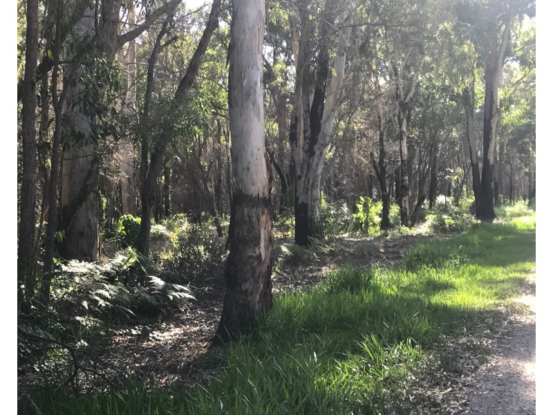 17 Sandpiper Parade, Macleay Island QLD 4184