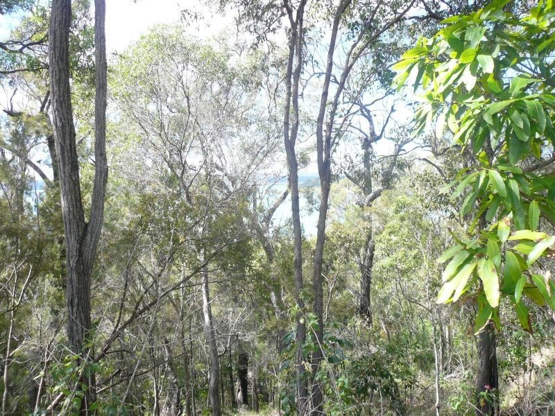 7 Pandora Court, Macleay Island QLD 4184