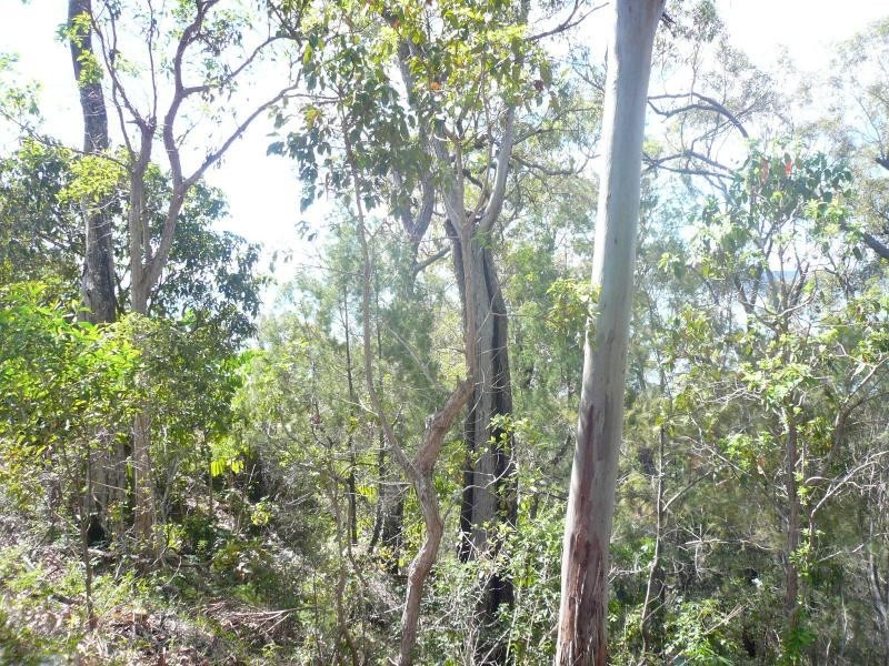 7 Pandora Court, Macleay Island QLD 4184
