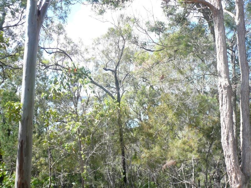 7 Pandora Court, Macleay Island QLD 4184