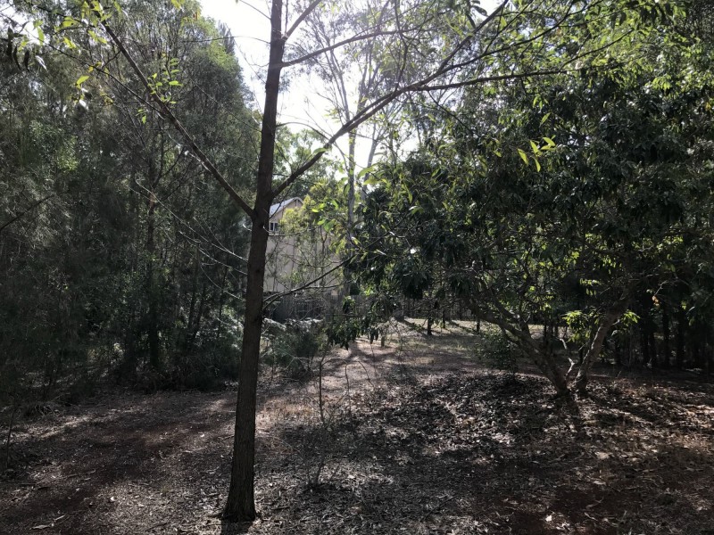 106-108 Treasure Island Avenue, Karragarra Island QLD 4184