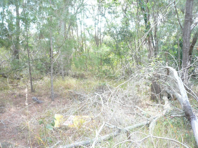 3 Rhodes Street, Macleay Island QLD 4184