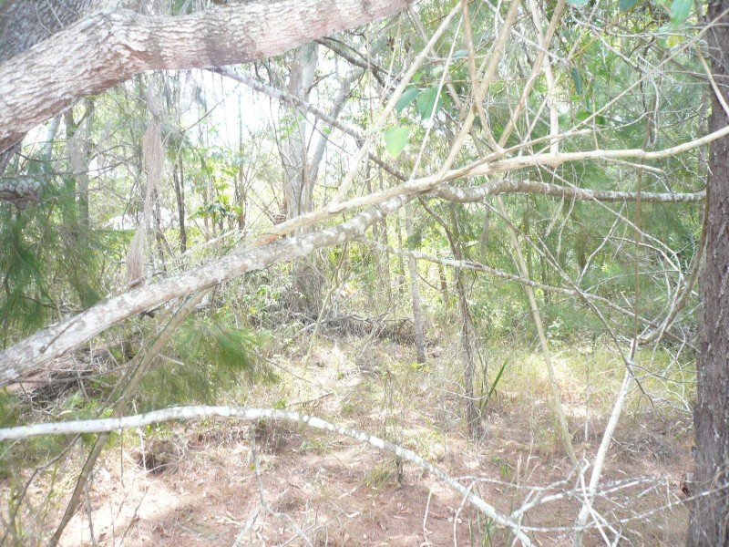 3 Rhodes Street, Macleay Island QLD 4184