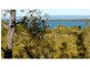 168 Treasure Island Avenue, Karragarra Island QLD 4184