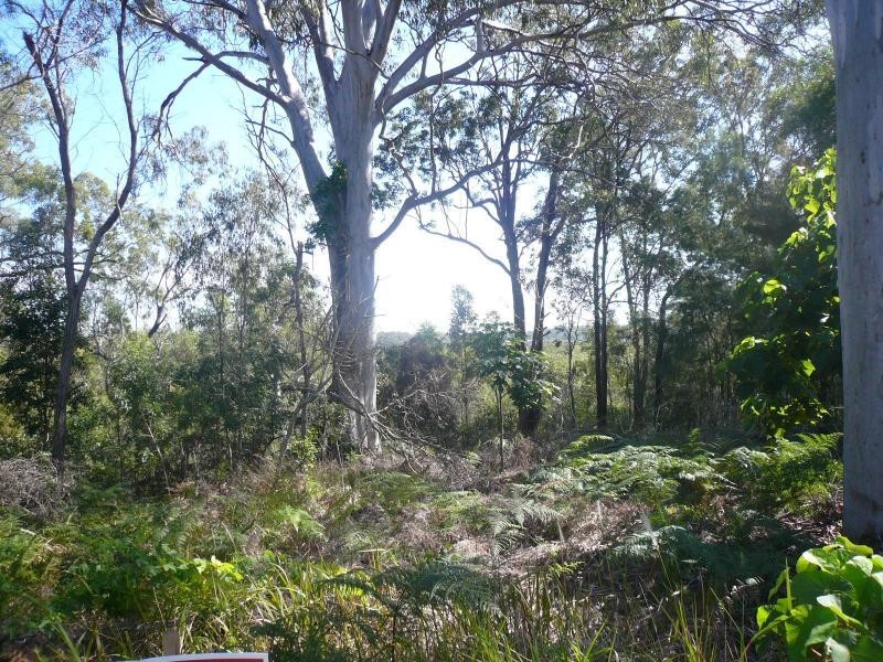 31 Waterside Drive, Macleay Island QLD 4184