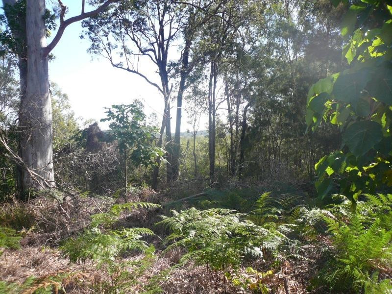 31 Waterside Drive, Macleay Island QLD 4184