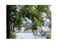 36 Coast Road, Macleay Island QLD 4184