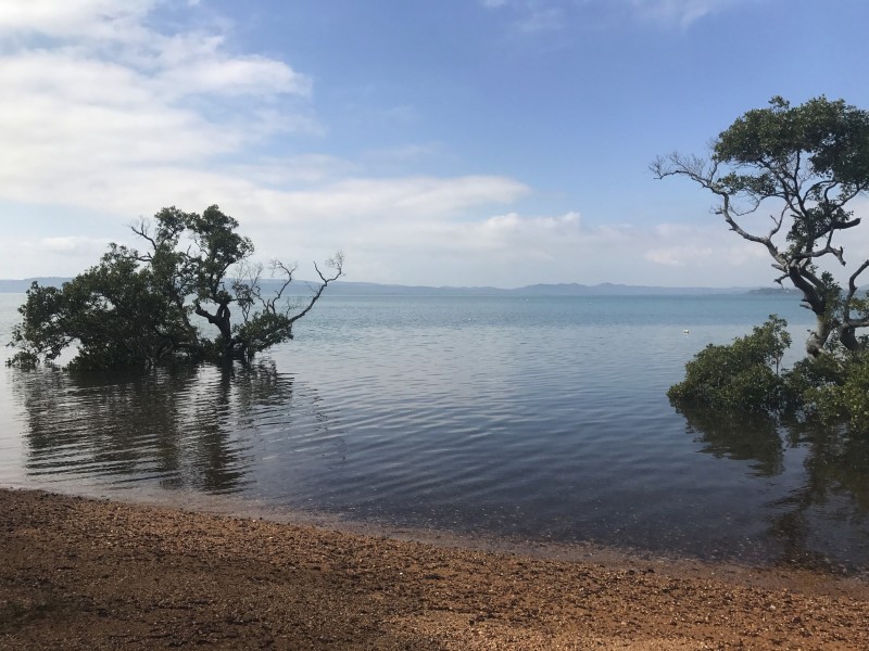 3 Alkira Street, Macleay Island QLD 4184