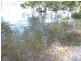 101 Beelong St, Macleay Island QLD 4184