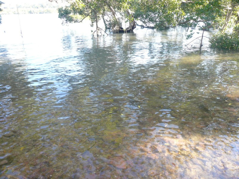 101 Beelong St, Macleay Island QLD 4184