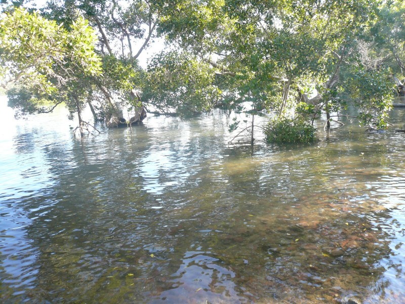 101 Beelong St, Macleay Island QLD 4184