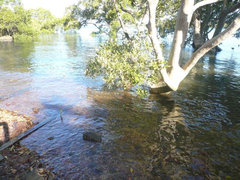 101 Beelong St, Macleay Island QLD 4184