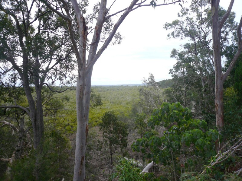 56 Treasure Island Ave, Karragarra Island QLD 4184