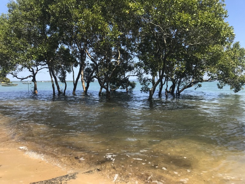 4 Attunga St, Macleay Island QLD 4184