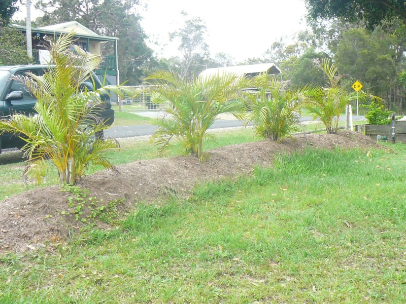 10 Camena Street, Macleay Island QLD 4184