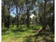 10 Allambie Street, Macleay Island QLD 4184
